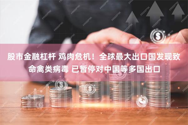 股市金融杠杆 鸡肉危机！全球最大出口国发现致命禽类病毒 已暂停对中国等多国出口