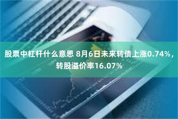 股票中杠杆什么意思 8月6日未来转债上涨0.74%，转股溢价率16.07%