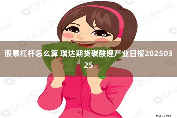 股票杠杆怎么算 瑞达期货碳酸锂产业日报20250325
