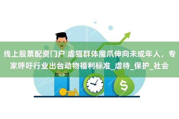 线上股票配资门户 虐猫群体魔爪伸向未成年人，专家呼吁行业出台动物福利标准_虐待_保护_社会