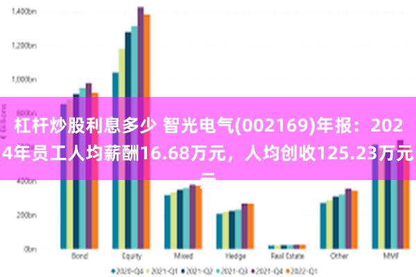 杠杆炒股利息多少 智光电气(002169)年报：2024年员工人均薪酬16.68万元，人均创收125.23万元