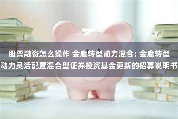 股票融资怎么操作 金鹰转型动力混合: 金鹰转型动力灵活配置混合型证券投资基金更新的招募说明书