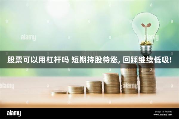 股票可以用杠杆吗 短期持股待涨, 回踩继续低吸!