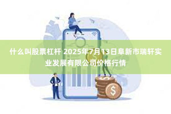 什么叫股票杠杆 2025年7月13日阜新市瑞轩实业发展有限公司价格行情