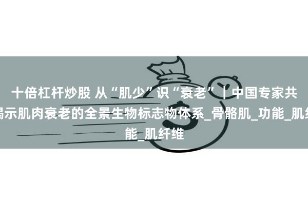 十倍杠杆炒股 从“肌少”识“衰老”｜中国专家共识揭示肌肉衰老的全景生物标志物体系_骨骼肌_功能_肌纤维