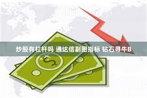 炒股有杠杆吗 通达信副图指标 钻石寻牛B