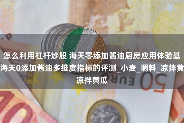 怎么利用杠杆炒股 海天零添加酱油厨房应用体验基于海天0添加酱油多维度指标的评测_小麦_调料_凉拌黄瓜