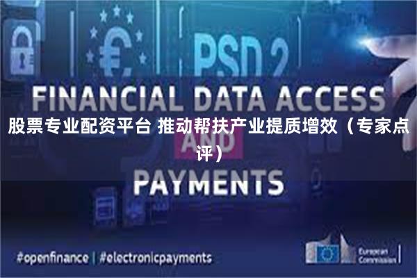 股票专业配资平台 推动帮扶产业提质增效（专家点评）